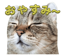 768201400