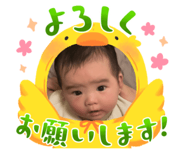 768201524