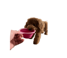 768208664