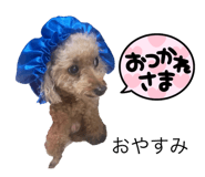 768209081