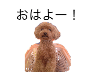 768209083