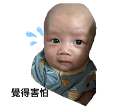 768216455