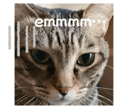 768220595