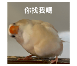 768228157