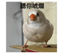 768228158