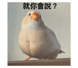 768228159