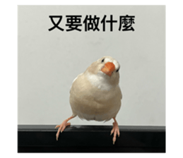 768228161