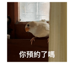 768228162
