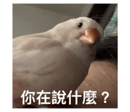 768228163