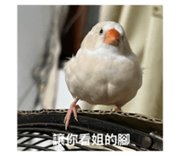 768228164