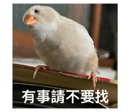 768228165