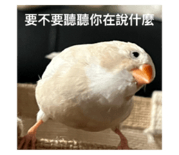 768228166