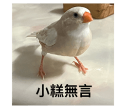 768228167