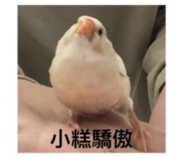768228171