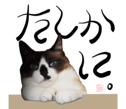 768240506