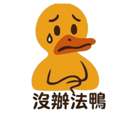 768251589