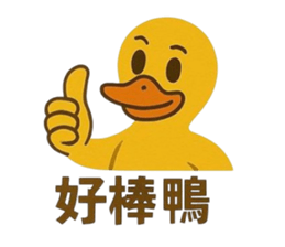 768251604