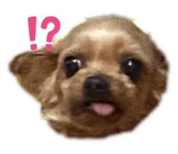 768252969