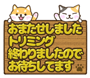 768253177