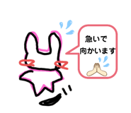 768253897
