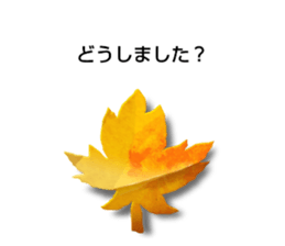 768254608