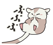 768254747