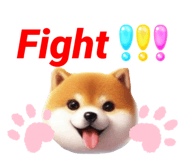 768254897