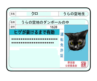 768258249