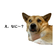 768258326