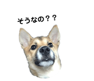 768258328