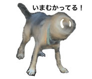 768258339