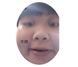 768263629