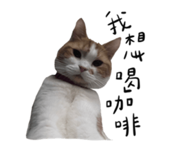 768287843