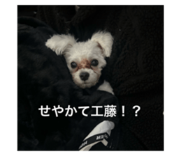 768295329