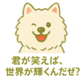 768296837