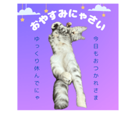 768297366