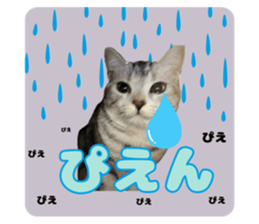 768297395
