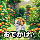 768300572