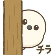 768307570