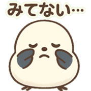 768307574