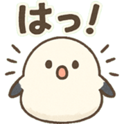 768307586