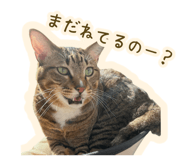 768308975