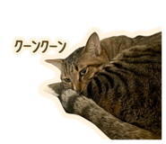 768308980