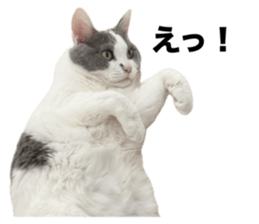 768310961