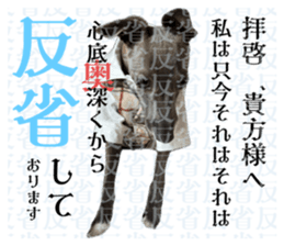 768315884