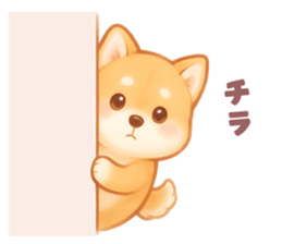 768323213