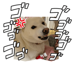 768327455