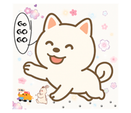 768335241