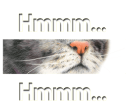 7683358