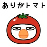 768356037